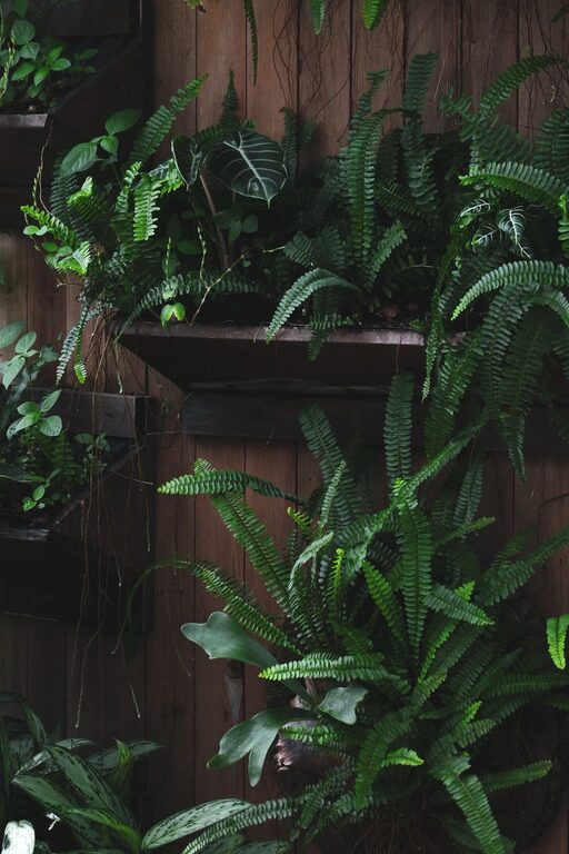 Tips for Creating an Eco-Friendly Home Garden